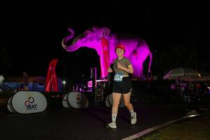 BIB: 
                            <button type="button" onclick="openModal(26543441)" class="btn btn-primary btn-sm float-right btn-popup" data-toggle="modal" data-target=".modal-high-quality">
                        <i class="fas fa-shopping-cart"></i> Add to Cart
                    </button>
                                            <button type="button" onclick="isThisMe(26543441, true)" class="btn btn-success btn-sm float-right btn-popup btn-isme hidden" data-toggle="tooltip" data-placement="bottom" title="นี่คือรูปของคุณใช่ไหม คลิกที่นี่เพื่อเอาเข้าอัลบั้ม">
                        <i class="fas fa-plus"></i> Add to album
                    </button>
                    <button type="button" onclick="isThisMe(26543441, false)" class="btn btn-warning btn-sm float-right btn-popup btn-isnotme hidden">
                        <i class="fas fa-ban"></i> Remove from album
                    </button>